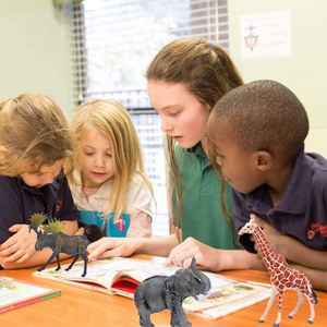 12pcs Realistic Jumbo Wild Zoo <strong>Animals</strong> <strong>Plastic</strong> African Jungle <strong>Animals</strong> Play Set <strong>Safari</strong> <strong>Animals</strong> Figures Toys for Kids - Product Image 3