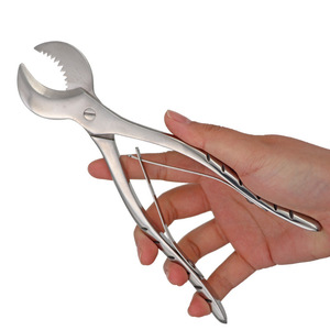Forbici in Acciaio Inox per Acquario di Barriera Corallina 16/20cm, Accessori per Taglio Coralli Naturali - Product Image 1