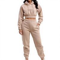 Harga Pabrik Hoodie Sweatshirt Olahraga Wanita XL Custom Berkualitas Tinggi Bahan Polyester/Katun Kerah V Reguler Model Crop Pendek Untuk Musim Dingin