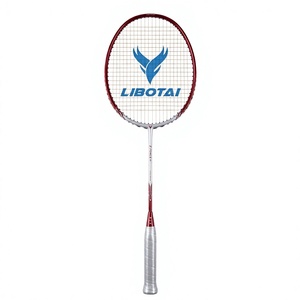 Raqueta de Bádminton LIBOTAI T-REX Z FORCE II de Grafito, Edición Torneo, Plateada y Roja - Product Image 1