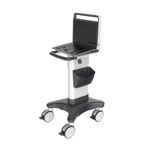 Ecógrafo Doppler Color Veterinario Sonoscape E3V para Diagnóstico Abdominal y Cardíaco en Animales Pequeños - Product Image 3