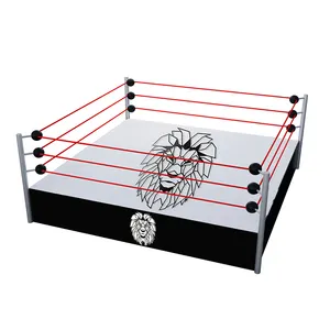 MMA ONEMAX Sparring WWE Wrestling Ring Custom Sturdy Easy To Assemble In Fight Club Fitness Center For Training Competition