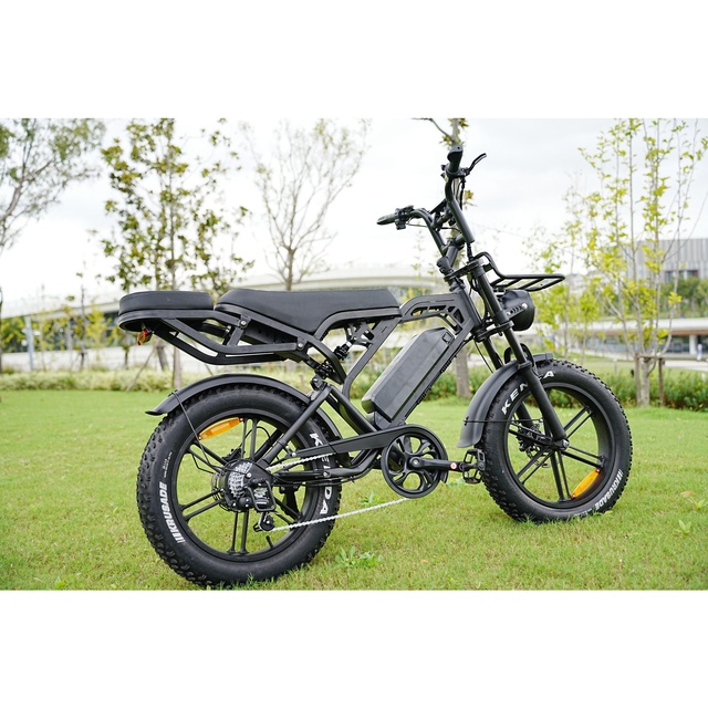Thin Zerogo Bicicleta Electrica Road Electric Bikes Fatbike V20 Pro Fatbike Mini E Dirt Bikes for Adults