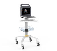 AMAIN Vet Machine à ultrasons Doppler couleur de haute qualité avec système d'échographie vétérinaire en mode PW pour animaux