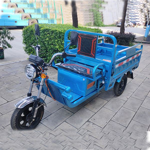 OEM kargo sepeda roda tiga listrik, poros belakang ganda tugas berat tiga roda listrik sepeda - Product Image 6