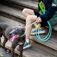 Laisse double pour deux chiens - Anti-explosion et anti-chute, laisse extensible en PVC à porter en bandoulière