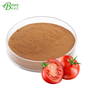 De tomate Natural en polvo/polvo de tomate seco en polvo/polvo de tomate en polvo precio 10:1 - Product Image 2