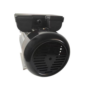 ML 시리즈 알루미늄 하우징 220v 2800rpm 0.25hp 180w AC 단상 전기 모터 물 펌프용 - Product Image 4