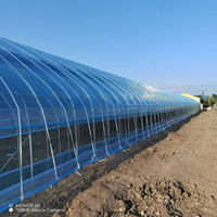 Serre tunnel pour fraises et serre à tomates Zhuotai, structure en acier avec bâche de protection