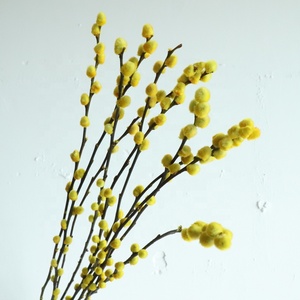 Fiore artificiale Secchi <span class=keywords><strong>Argento</strong></span> Salice Uso Naturale <span class=keywords><strong>Bouquet</strong></span> Caldo Conserve di Lunga Durata per il FAI DA TE Da Sposa Colorato Fiore Decorativo - Product Image 5