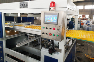 Chân Không Hips Radiant Tầng Hệ Thống Nhiệt Panel Heatfloor Nhựa Hình Thành Thermoforming <span class=keywords><strong>Machine</strong></span> - Product Image 5