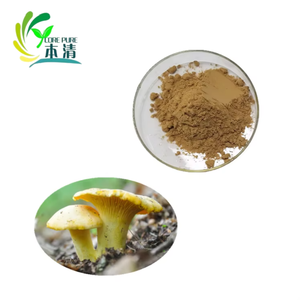 Extracto de Hongo Chanterelle (Cantarellus <span class=keywords><strong>Cibarius</strong></span>) en Polvo, 30% Polisacáridos, Grado Alimenticio, Extraído con Solvente, Empaquetado en Tambor, Alta Calidad - Product Image 5