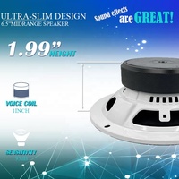 Haut-parleur audio professionnel compact pour portes, 6,5 pouces, 400 Watts Max, enceinte médium en acier à montage peu profond pour système audio de voiture