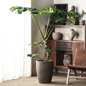 وعاء زرع دائري كبير جدًا من الإسمنت والطين على الطراز الاسكندنافي من Simple Green International لغرفة المعيشة، صنع في قوانغدونغ - Product Image 3