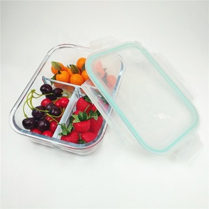 Air Tight Freezer Using Glass Bento Lunch Box For Kids