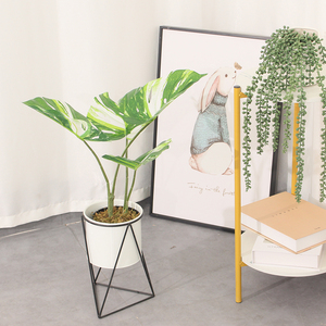 <span class=keywords><strong>Plante</strong></span> artificielle mini <span class=keywords><strong>Monstera</strong></span> haut de gamme, variée, 50 cm, feuilles PEVA réalistes au toucher, en pot, fausse verdure moderne pour la décoration de la maison et du bureau - Product Image 2