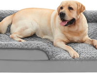 Canapé-lit pour animaux de compagnie en peluche confortable et tendance, taille XL, pour chiens et chats de grande taille, avec mousse à mémoire de forme orthopédique, antidérapant, utilisation intérieure toute saison