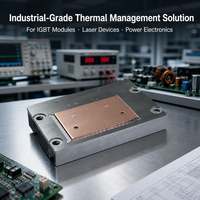 Plaque de refroidissement liquide composite cuivre-aluminium CNC personnalisée pour électronique de puissance laser IGBT OEM