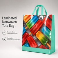 Sac de courses personnalisé en tissu non tissé laminé, motif popsicle coloré, durable pour la promotion de vente au détail et les cadeaux de marché