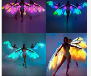 Alas de Ángel Iluminadas con LED |   Alas Luminosas para Danza de Adultos, Espectáculos en Bares y Presentaciones en Escenarios - Product Image 3