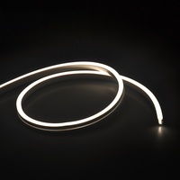 Bande LED néon flexible 6*12mm, étanche IP67, RGBIC Pixel Magic Color, 12V/24V, adressable, télécommande, CRI 90 élevé, dimmable