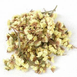 Las cabezas de flores secas naturales <span class=keywords><strong>no</strong></span> me olvides Capullos de flores <span class=keywords><strong>no</strong></span> me olvides <span class=keywords><strong>para</strong></span> flores decorativas artesanales DIY - Product Image 2