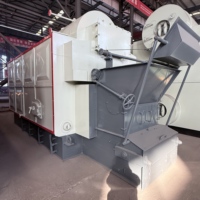 YG DZL Low Industrial Fully Automatic Biomass Wood Coal Fired Economically Stainless Steel Shell Steam Boiler Tekstil Makanan