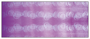 Dùng Một Lần Kết Cấu Sơn Công Cụ Với PP Xử Lý Trang Trí Sơn Con Lăn Bàn Chải Mô Hình Sơn Con Lăn - Product Image 2