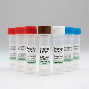 アネキシン V-IF647/<span class=keywords><strong>PI</strong></span> アポトーシス検出キット |   二重蛍光 高特異性 |   OEM対応可能 - Product Image 1