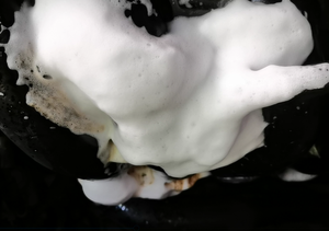 KEC 柠檬香味汽车内饰除油剂 500ML，泡沫配方，用于清洁发动机表面和去除油脂 - Product Image 4