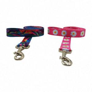 Collar de Perro con Diseño Personalizado, Correa Ajustable y Arnés, Juego de Regalo Promocional Personalizado con su Propio Logotipo - Product Image 2