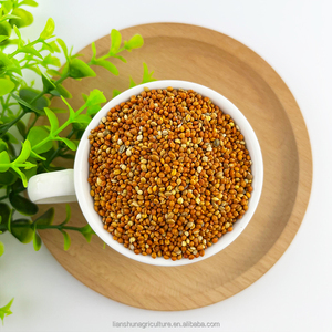 Di alta qualità bio rosso miglio dito miglio caldo di vendita con scafo per uccelli dalla cina all'ingrosso - Product Image 2