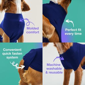 Golden Retriever Bulldog Teddy Bear Husky Deportes y entretenimiento Conjuntos de ropa para mascotas - Product Image 2
