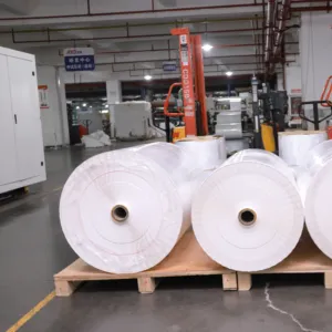 กระดาษเคลือบฟิล์มพลาสติกกระดาษสังเคราะห์ม้วนจัมโบ้ฉลากถ่ายโอนความร้อนโดยตรงมีกาวในตัวจากโรงงานชั้นนำ