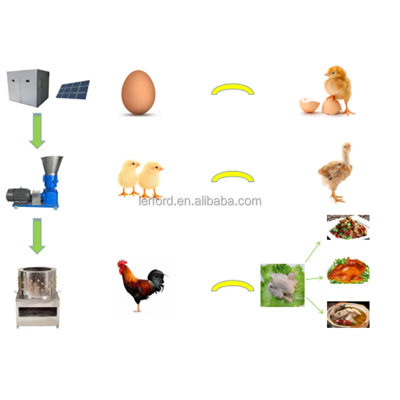 Good industry/ home use CE Agricultural Machinery/Feed Processing /automatic incubator/poultry de-feather