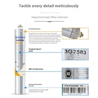 Filtre à eau du robinet commercial Bantel Everpure, double purificateur d'eau 7FC-S, machine à eau potable directe avec charbon actif