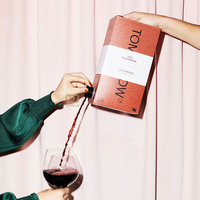Distributeur de café en boîte personnalisé 1l 3l 5l 10l sac d'infusion à froid 20l boîte d'emballage de café au lait thé vin vin boîte de boisson à emporter avec sac à bavette