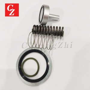 2901141100 Min. Kit de service de soupape de pression pour compresseur Atlas Copco 2901-1411-00 Marque CZ - Product Image 4