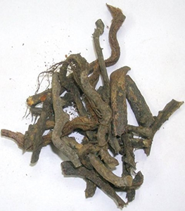 Baliospermum Montanum Castor Dantimool Root Danti Mool Dantimool Hierba seca Hierba cruda Danti Mool Root - Product Image 6