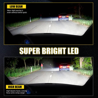 Mejor calidad D2s D4S 10000lm 6000K D1S D2R D3S D4R D5S D8S bombilla de faro Led Canbus D2s luces LED de coche
