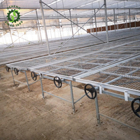 Banc roulant mobile de table de serre intelligente pour semis/élevage utilisé pour le plateau Microgreen dans la serre verte