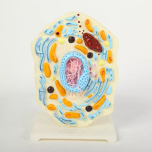 Aparato de enseñanza de biología simulan animales reales y célula vegetal, modelo de seda y meirosis - Product Image 2