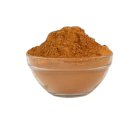 Poudre d'extrait botanique doux de Boerhavia Diffusa (Punarnava) pour les mélanges de tisanes, les préparations alimentaires et les produits traditionnels