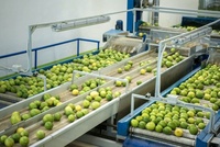 Productielijn voor mango- en ananassap/fruitsapverwerkingslijn