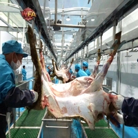 Équipement moderne d'abattage de chèvres pour ligne de traitement d'abattage de moutons et d'agneaux, machines d'abattoir