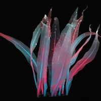 Corail et algues artificiels en résine, décor moderne et écologique pour aquarium, réaliste et sûr, pour la mise en scène de poissons et de paysages marins, idéal pour la salle à manger