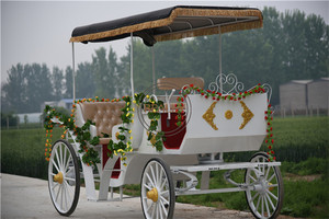 Chariot cheval moderne OEM, accessoire de décoration de noël, à pédales, pour touristes, en plein air, à vendre, - Product Image 4