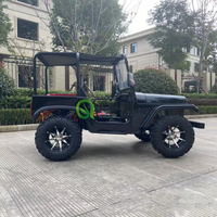 Buggy de plage 200cc, espace spacieux, design multi-places, buggy des dunes pour les zones panoramiques, le team building et les loisirs