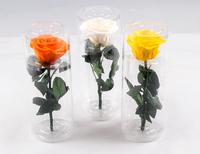 Rose conservée avec tige, cadeau de saint-valentin, secret, vente en gros