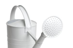 กาน้ำโลหะเคลือบสังกะสีเคลือบ12L สำหรับรดน้ำต้นไม้ในร่มกลางแจ้งพร้อมที่จับและพวยกา - Product Image 2